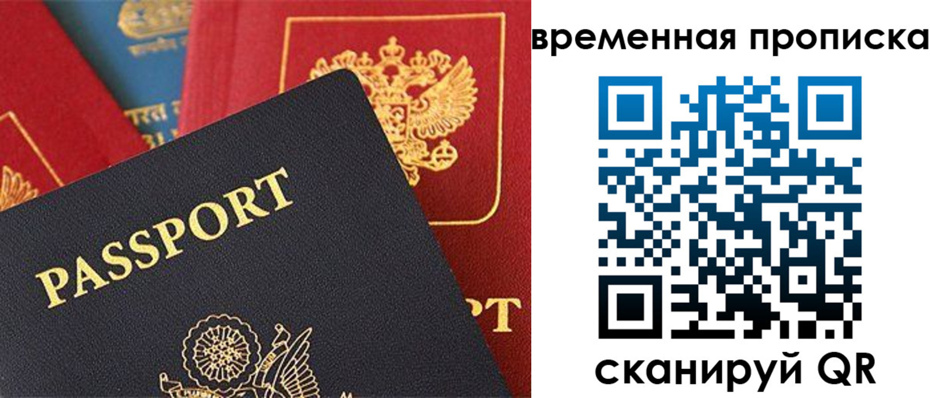 прописка для школы в Пушкино